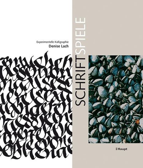 Denise Lach: Schriftspiele, Buch
