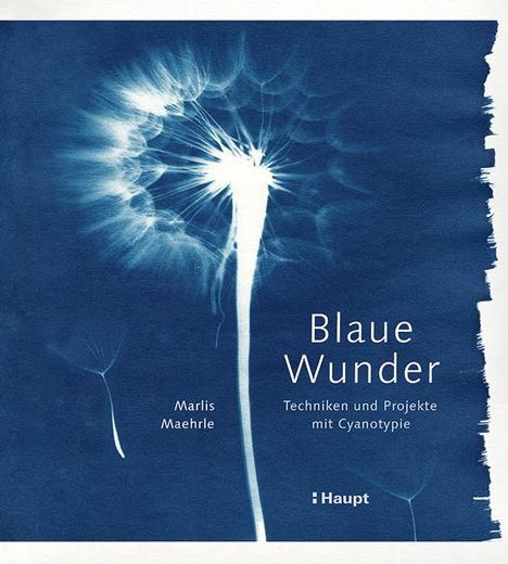 Marlis Maehrle: Blaue Wunder - Techniken und Projekte mit Cyanotypie, Buch