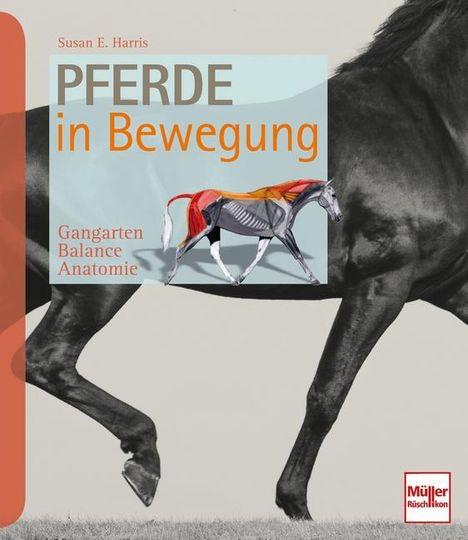 Susan E. Harris: Pferde in Bewegung, Buch