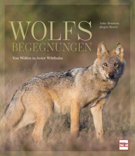 Anke Benstem: Benstem, A: Wolfsbegegnungen, Buch