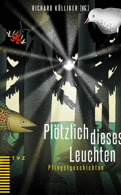 Plötzlich dieses Leuchten, Buch