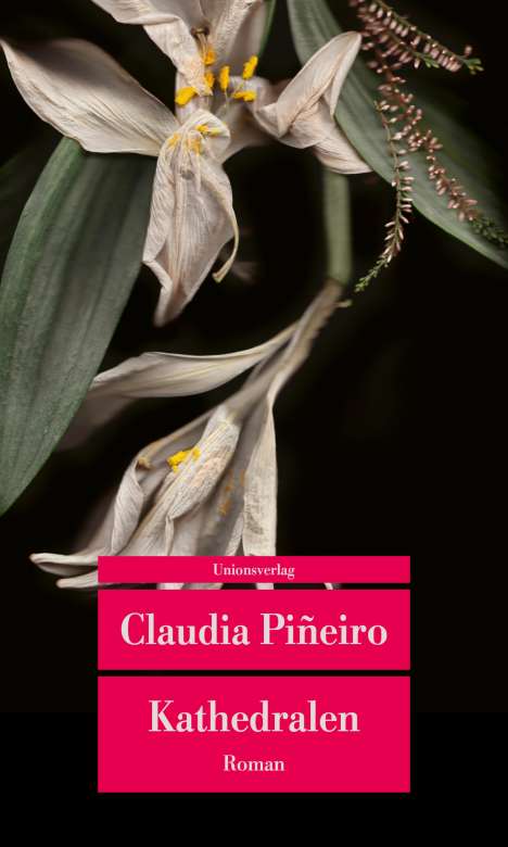 Claudia Piñeiro: Kathedralen, Buch