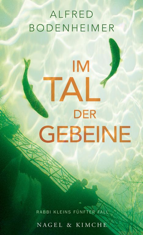 Alfred Bodenheimer: Im Tal der Gebeine, Buch