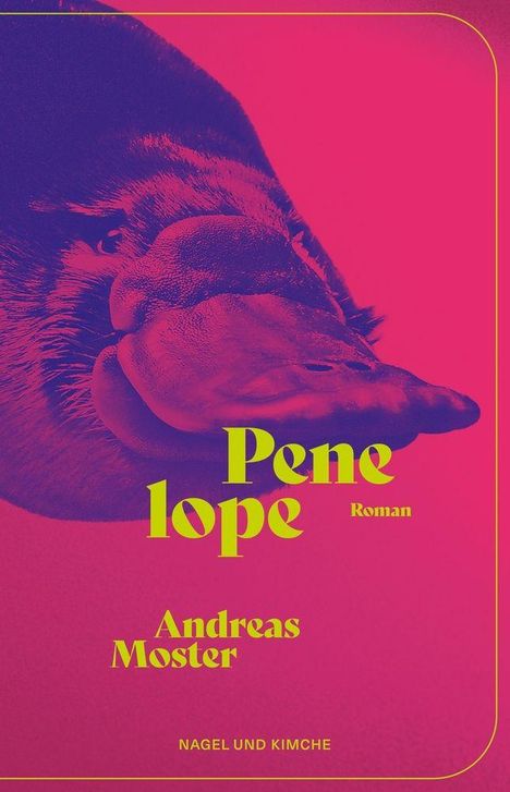 „Penelope“, Roman von Andreas Moster, Nagel und Kimche. Illustration: Ein Schnabeltier in pink und blau.