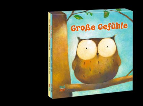 „Große Gefühle“ steht in orangefarbener Schrift vor blauem Hintergrund. Illustration einer Eule auf einem Ast.