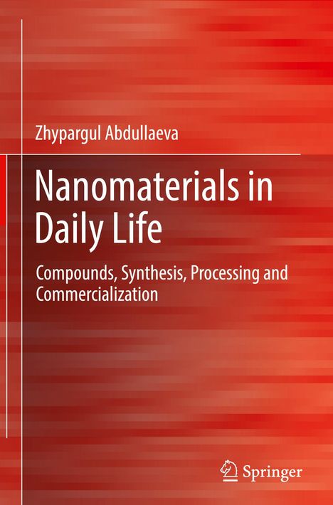 Zhypargul Abdullaeva: Nanomaterials in Daily Life, Buch