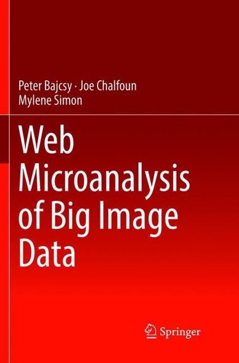 Peter Bajcsy: Web Microanalysis of Big Image Data, Buch