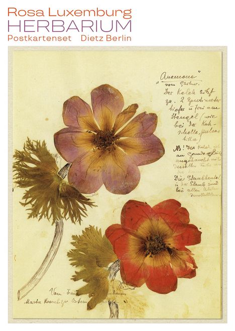 Rosa Luxemburg: Herbarium Postkartenset, Buch