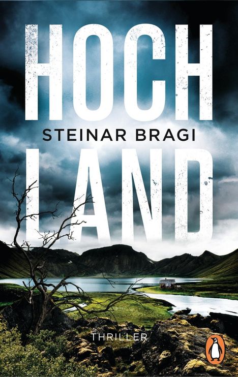 Steinar Bragi: Hochland, Buch