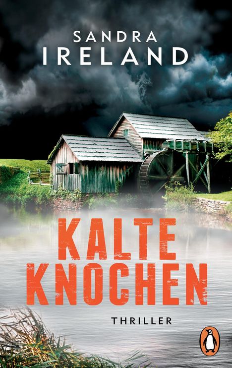 Sandra Ireland: Kalte Knochen, Buch