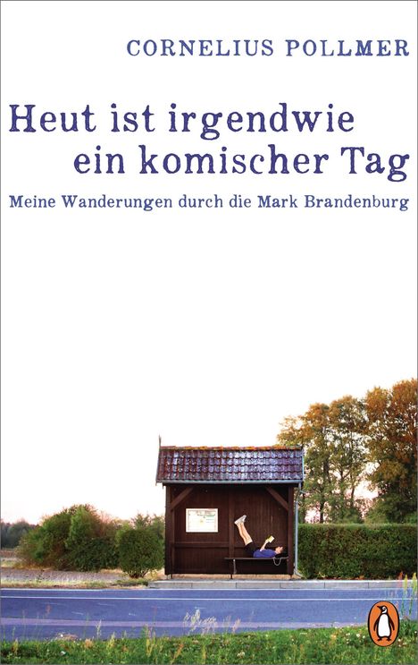 Cornelius Pollmer: Heut ist irgendwie ein komischer Tag, Buch