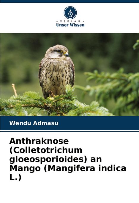 Wendu Admasu: Anthraknose (Colletotrichum gloeosporioides) an Mango (Mangifera indica L.), Buch