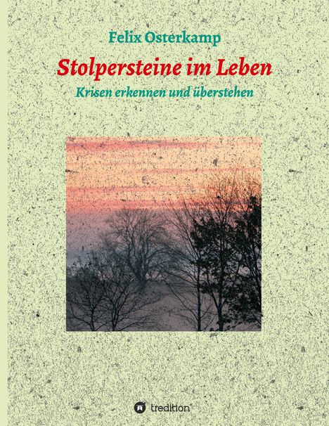 Felix-Daniel Osterkamp: Stolpersteine im Leben - Krisen erkennen und überstehen, Buch