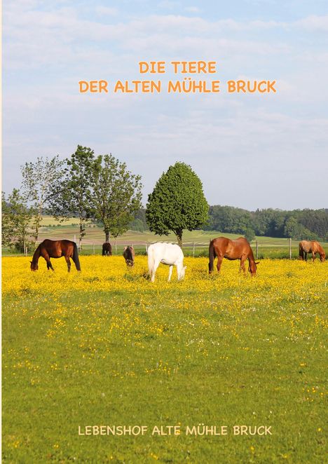 Regina Peter: Wie kommt das Pony auf den Gnadenbrothof?, Buch