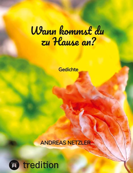 Andreas Netzler: Wann kommst du zu Hause an?, Buch