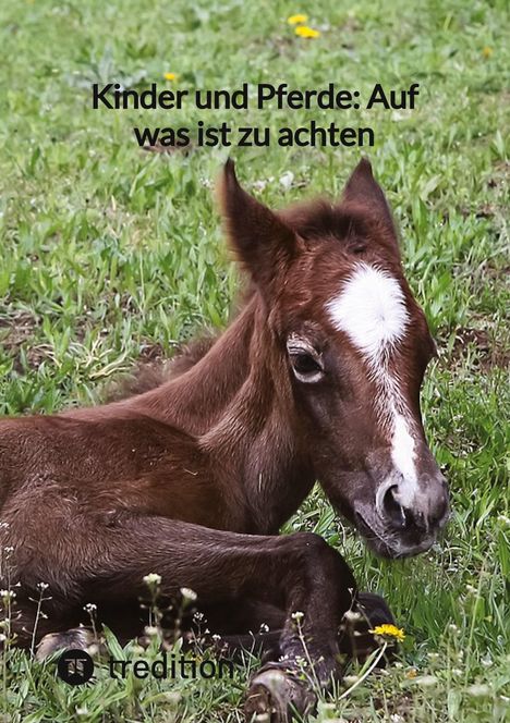 Moritz: Kinder und Pferde: Auf was ist zu achten, Buch