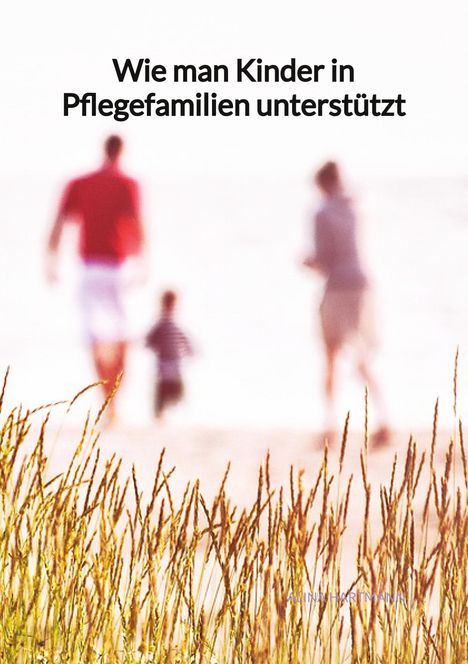 Alina Hartmann: Wie man Kinder in Pflegefamilien unterstützt, Buch