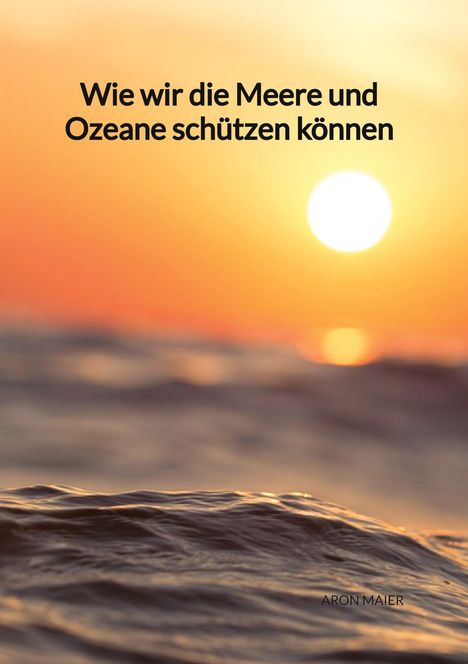 Aron Maier: Wie wir die Meere und Ozeane schützen können, Buch