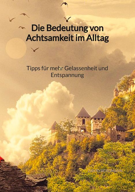 David Bergmann: Die Bedeutung von Achtsamkeit im Alltag - Tipps für mehr Gelassenheit und Entspannung, Buch