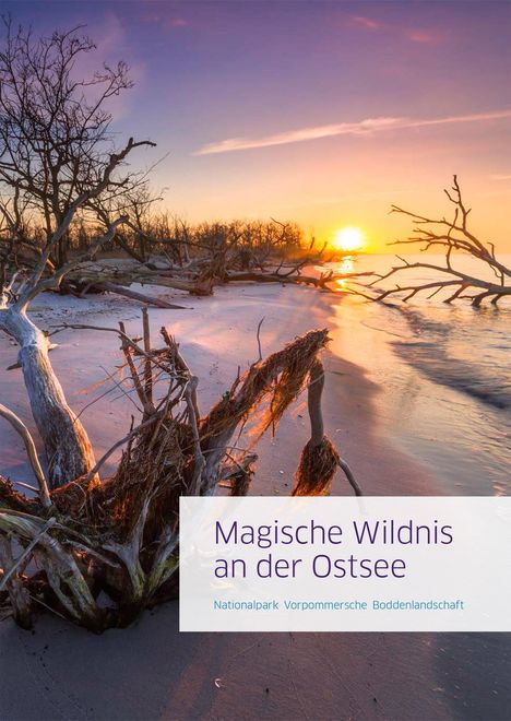 Jan Baginski: Magische Wildnis an der Ostsee, Buch