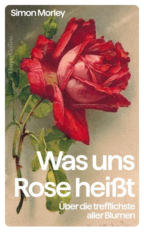 Simon Morley: Was uns Rose heißt. Über die trefflichste aller Blumen, Buch