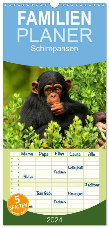Elisabeth Stanzer: Familienplaner 2024 - Schimpansen mit 5 Spalten (Wandkalender, 21 x 45 cm) CALVENDO, Kalender