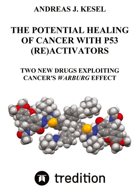 Andreas Johannes Kesel: The Potential Healing Of Cancer With P53 (Re)Activators, Buch