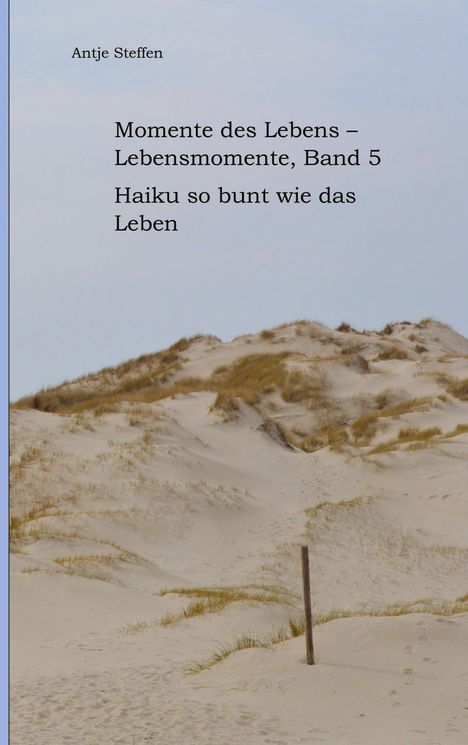 Antje Steffen: Momente des Lebens - Lebensmomente Band 5, Buch