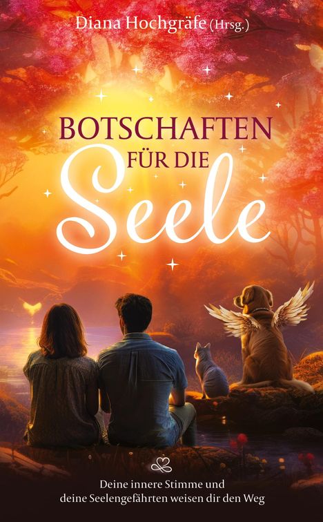 Dagmar Feeser: Botschaften für die Seele - Seelenbotschaften und Seelengeschichten, die dich inspirieren, dein Herz zu öffnen, deiner Intuition zu vertrauen und deinen Seelenplan zu leben, Buch