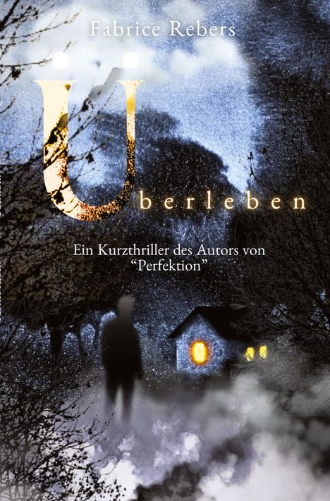 Fabrice Rebers: Überleben, Buch