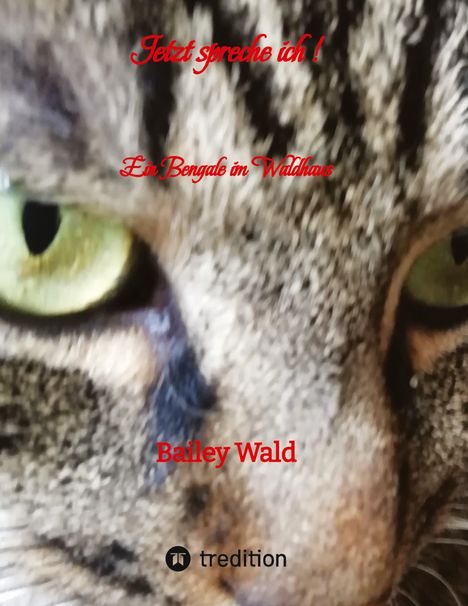 Bailey Wald: Jetzt spreche ich ! FIV Kater Bailey berichtet aus seinen Leben, Buch