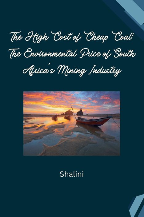 Shalini: The High Cost of Cheap Coal: The Environmental Price of South Africa's Mining Industry, Buch