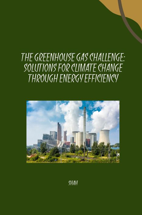 Shah: The Greenhouse Gas Challenge: Solutions for Climate Change Through Energy Efficiency, Buch