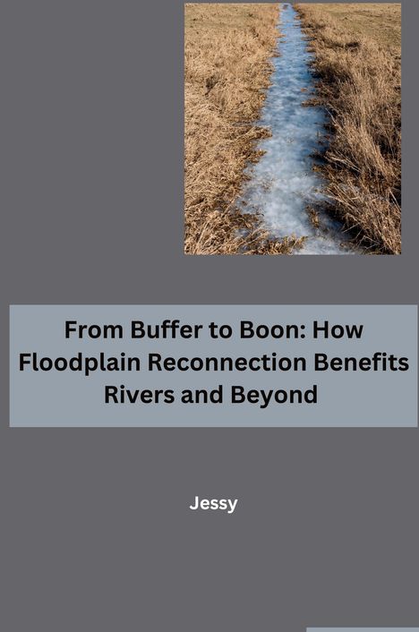 Jessy: From Buffer to Boon: How Floodplain Reconnection Benefits Rivers and Beyond, Buch