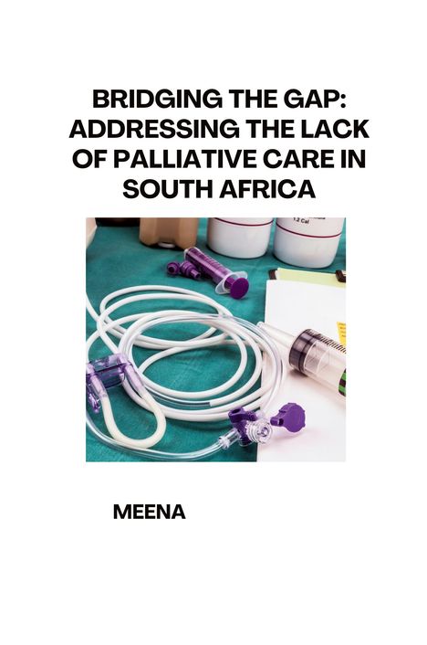 Meena: Bridging the Gap: Addressing the Lack of Palliative Care in South Africa, Buch