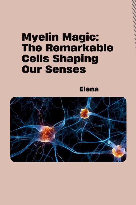 Elena: Myelin Magic: The Remarkable Cells Shaping Our Senses, Buch