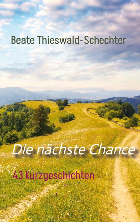 Beate Thieswald-Schechter: Die nächste Chance, Buch