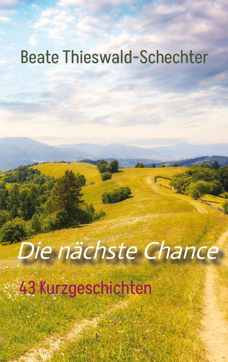 Beate Thieswald-Schechter: Die nächste Chance, Buch