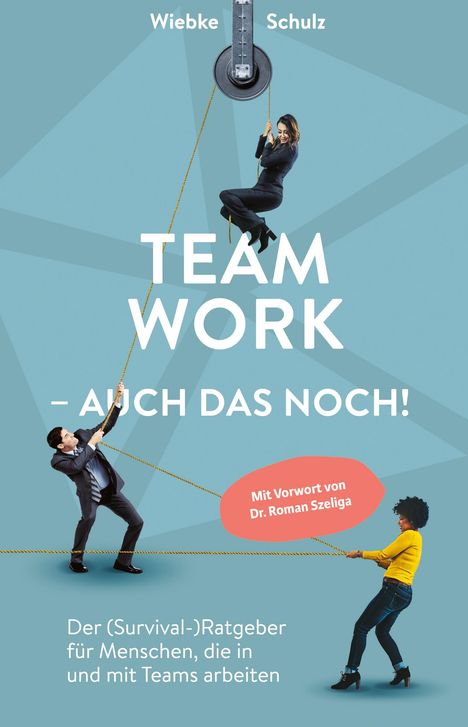 Wiebke Schulz: Teamwork ¿ auch das noch!, Buch