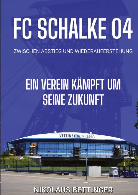 Nikolaus Bettinger: FC Schalke 04 - Zwischen Abstieg und Wiederauferstehung, Buch