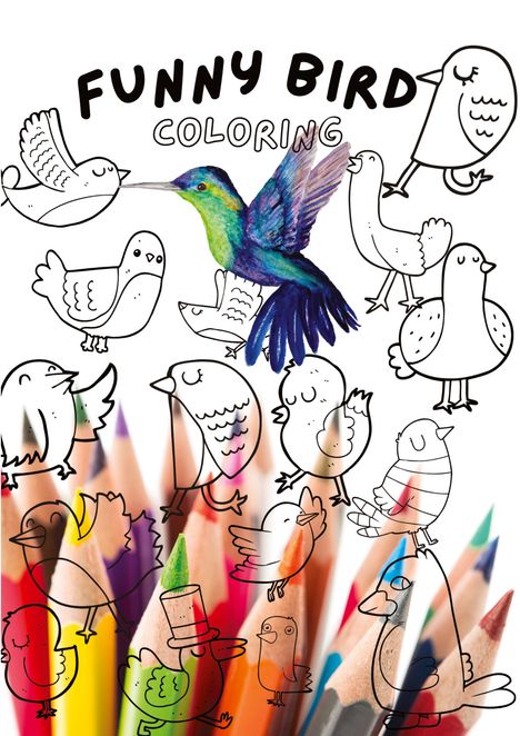 Joe Hammoud: Funny Bird Coloring Book, Buch