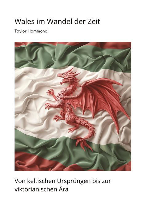 Taylor Hammond: Wales im Wandel der Zeit, Buch