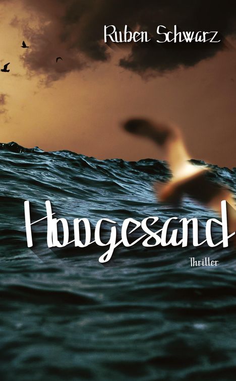 Ruben Schwarz: Hoogesand, Buch