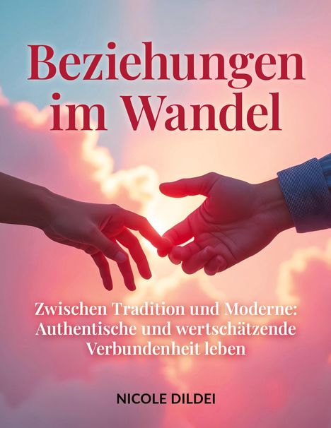 Nicole Dildei: Beziehungen Im Wandel, Buch