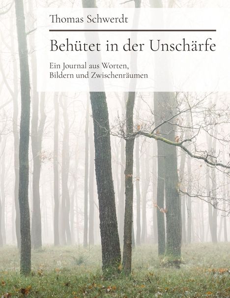 Thomas Schwerdt: Behütet in der Unschärfe, Buch