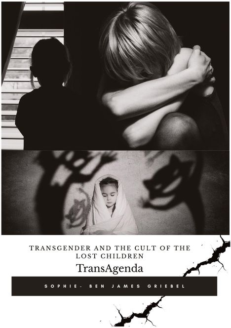 Sophie Ben James Griebel: TransAgenda, Buch