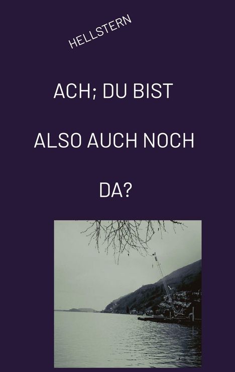 Hellstern Hofnarr des Lichts: ACH; DU BIST ALSO AUCH NOCH DA? (Softcover), Buch