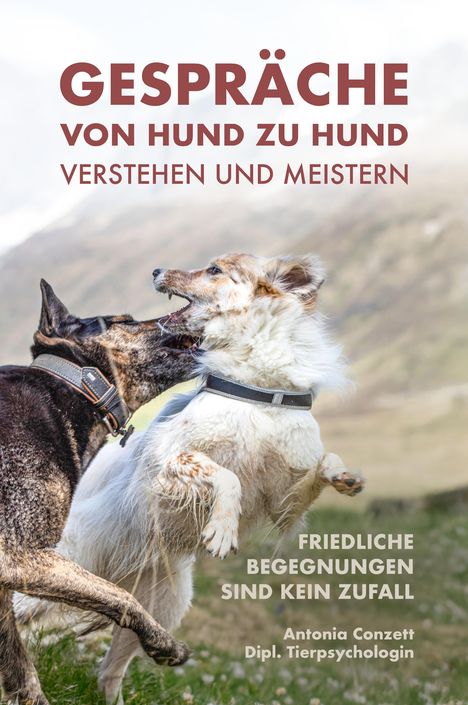 Text: "GESPRÄCHE VON HUND ZU HUND VERSTEHEN UND MEISTERN. FRIEDLICHE BEGEGNUNGEN SIND KEIN ZUFALL. Antonia Conzett Dipl. Tierpsychologin."
Ein Hund springt vor Freude und spielt mit einem anderen Hund.