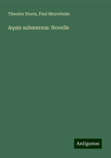 Theodor Storm: Aquis submersus: Novelle, Buch