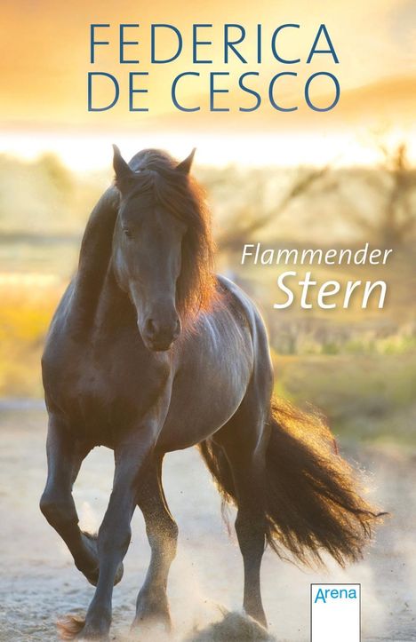 Federica de Cesco: Flammender Stern, Buch